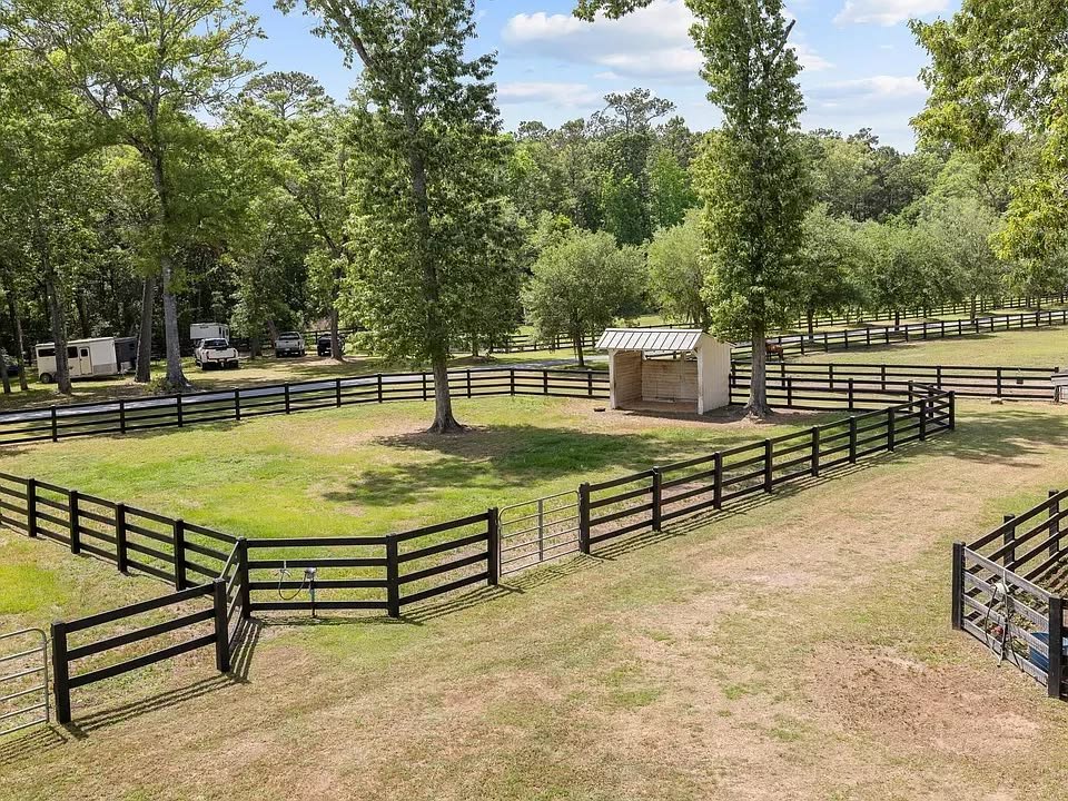 Expansive Pastures