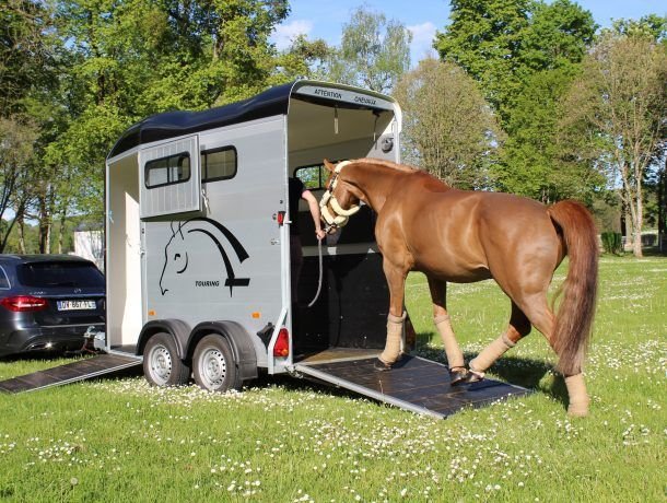Pony Shipping and Delivery